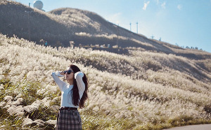 (影)淡蘭古道主題網上線！4條「絕美芒花古道」遊程輕鬆掌握