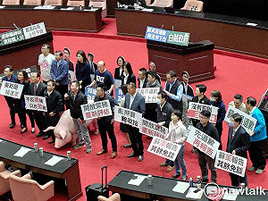 屢遭WHA排除在外 國民黨團籲蔡政府:放棄大內宣外交