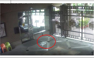 蔡英文住所遭男子潑不明液體  嫌稱:心情不好