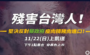 (影)「反萊豬護食安」大遊行確認!  國民黨號召11/22天下圍城