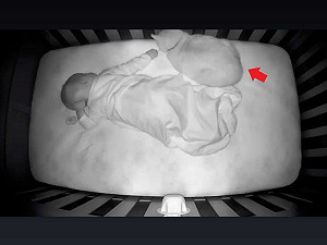 傲嬌橘貓「不愛新生兒」　媽看監視器笑：原來都騙人！