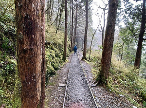 全球最美小徑變調!太平山見晴古道驚見成堆垃圾
