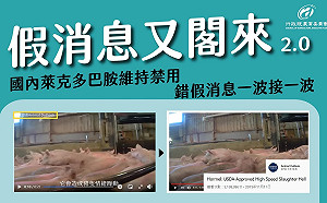 (影) 國民黨貼豬屠宰場影片 動社力挺:他們沒有錯