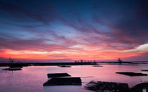 上山走走！阿里山部落旅遊  雲海星河一次搜集