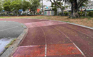 嘉義市推廣校園生態教育 PU跑道逐年退場