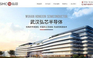 武漢弘芯半導體千億投資成騙局 綠委籲:切勿過度嚮往中國