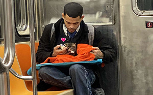 搭地鐵見毯子探出小萌貓　暖男細心餵奶：要乖乖長大喔！