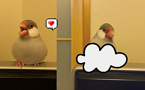 坐電視取暖！文鳥「奶油般融化」成一體  網讚：太療癒了～