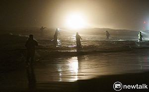 良影一二》鰻魚苗大出 扒鰻苗人拼年終 無奈疫情攪局收入大減