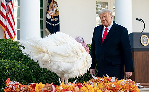 川普感恩節特赦火雞 就是不談敗選與交接