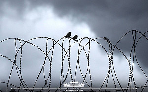 好「高竿」脫北者！20歲男疑似撐竿跳過3M高圍籬