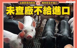 用5張圖卡 蘇揆讓民眾秒懂明年開放進口萊豬管制措施