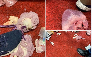 藍營杯葛「腥攻勢」  范雲傻眼:被濕濕的東西攻擊好幾回