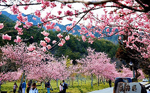 冬季旅遊補助來了！2天1夜平日團體旅遊 每團補助1.5萬