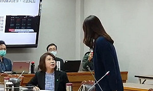 「你們比豬內臟還臭！」 藍綠女立委拍桌對罵 吵到全場傻眼