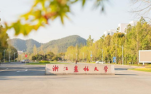 同學當恩客? 女大生在網公開賣淫日記  校方：她正接受精神治療