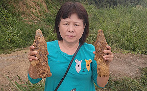 屏東縣石頭營驚見未爆彈 蔣月惠大膽手持兩顆怨「不合理」