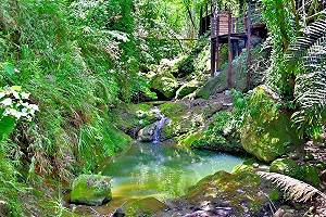 體驗山林之美！台中太平蝙蝠洞延伸步道正式開放