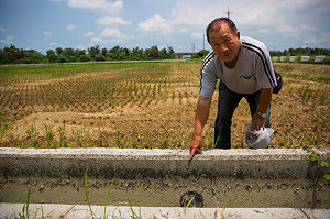 56年來最乾！農委會短中長期4大策略因應災情