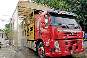 屏東澄清安檢信功出現3版本 小聖蚊酸：要不要喬好再發言？