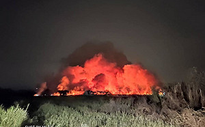 台南歸仁台糖閒置荒地火警濃煙飄50公里「臭翻」北高雄 pm2.5破百