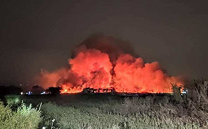 台南歸仁台糖閒置荒地大火 南市環保局重罰127.5萬元