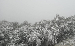 玉山初雪要來了？！氣象局：今晚機會大