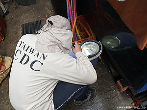 快訊》溼冷天氣登革熱一樣來！新北再添1例本土病例