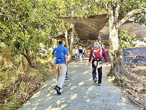 打卡新景點！大坑9號步道全新觀景台眺望台中市美景