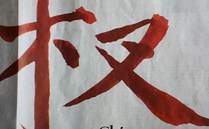 德媒批評「戰狼外交」 中國不思反省反嘲笑「漢字寫錯」