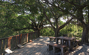 高雄男爬柴山「遭50機槍射擊」  海軍陸戰隊立即檢視靶場安全