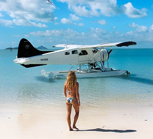 秋冬入境我國太搶手?  故事接龍玩創意「情侶出海遇鯊魚...一人抵台」