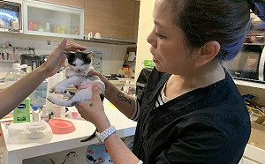 鼓勵帶寵物上班 新北動保處赴林口表揚寵物友善公司