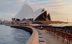 澳州連10天無本土病例！新南威爾斯州解除在家工作規定