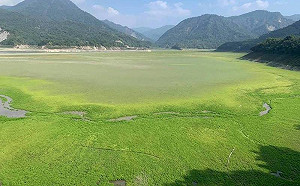全台最大曾文水庫見底！照片曝光網驚：像高爾夫球場