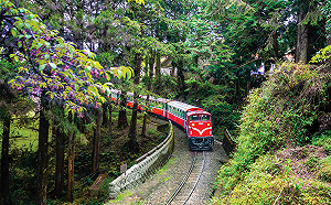 台灣鐵道旅行紅到國際！英國紀錄片來台捕捉在地之美