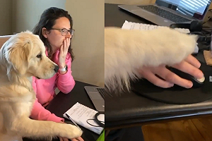 (影)金金「手把手」監督看報告　網笑：老闆派來的？