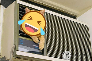 窗型舊冷氣竟「長出橘貓」　奴才驚：魔術大空間？