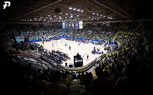 多名球員被害　引發台灣籃壇危機