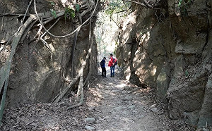 爆紅秘境竟遭刻字破壞！彰化一線天暫時封閉