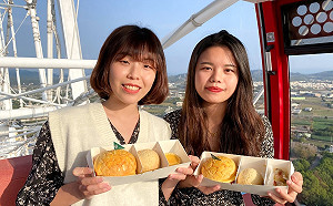 摩天輪也瘋米其林！《添好運》進駐麗寶  觀美景同時享星級美味