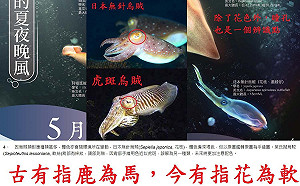 月曆魚圖亂取名？漁業署強調專家鑑定「無誤」 網友砲轟「硬凹」