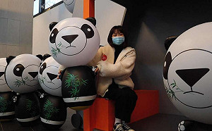 與「圓寶」相見歡！3/15前搭貓纜打卡拿好康