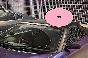 (影)以為車頂有胖橘　走近看竟是「牠」回瞪：你誰啊？