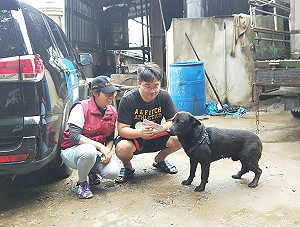聖誕前夕浪浪「嘟嘟」獲歸宿 守衛農場及養豬場安全