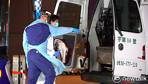 英國班機113人集中檢疫1發燒送醫 入境採檢估28日有結果