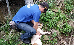 新北動保處傳授動物CPR   黃金3分鐘救回毛寶貝