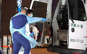 英國班機返台!127人1高燒4人有症狀 急診醫:入境是否考慮全部篩檢