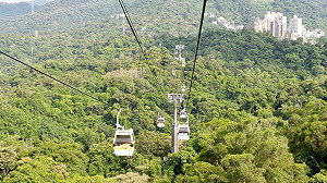 貓空地區交管！貓纜賞煙火跨年活動4公車受影響