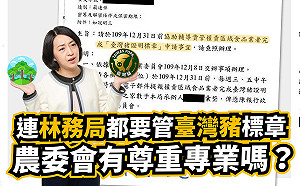 「林務局」輔導業者申請台灣豬標章 王婉諭批：有在尊重專業嗎？